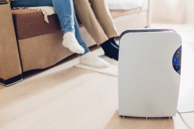 Dehumidifier Installation in Naples, FL